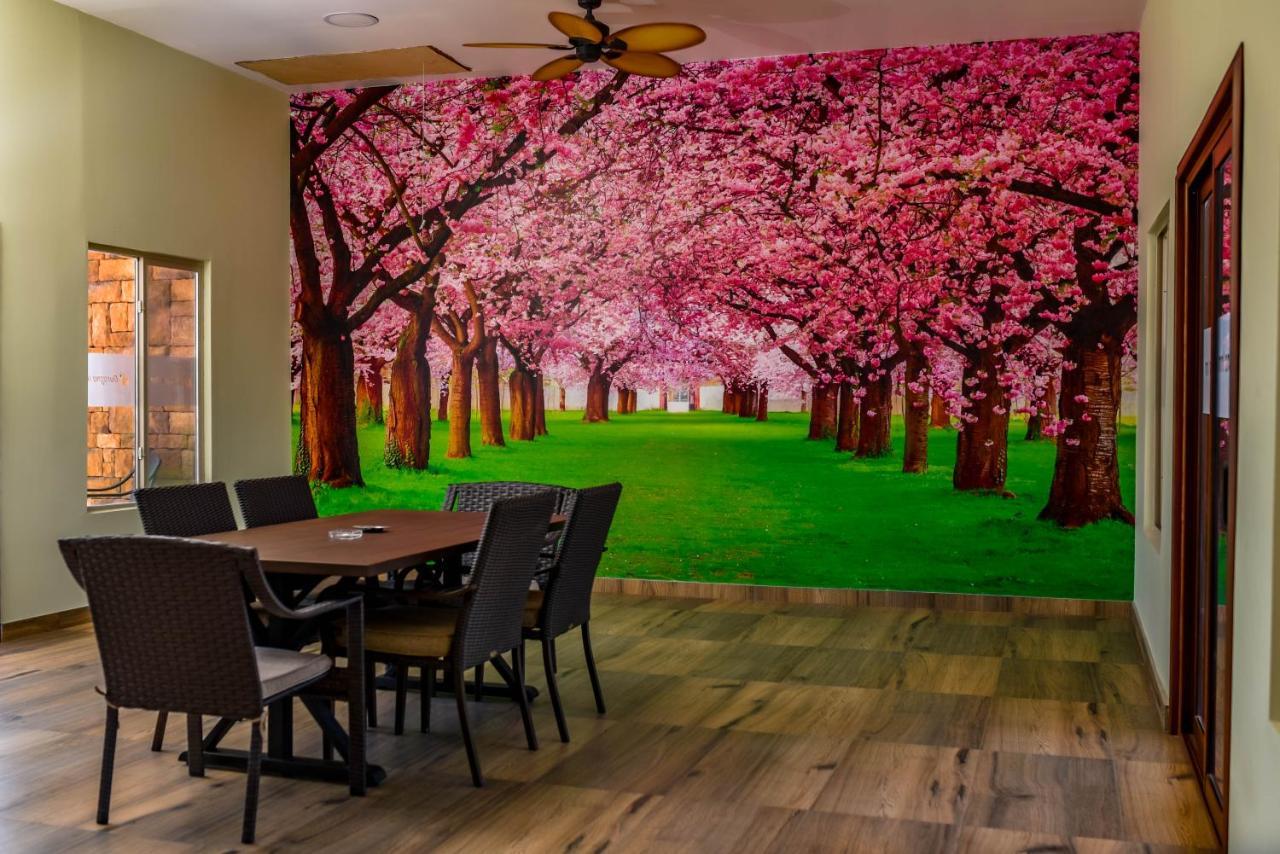 Durazno Inn Nuevo Casas Grandes 외부 사진